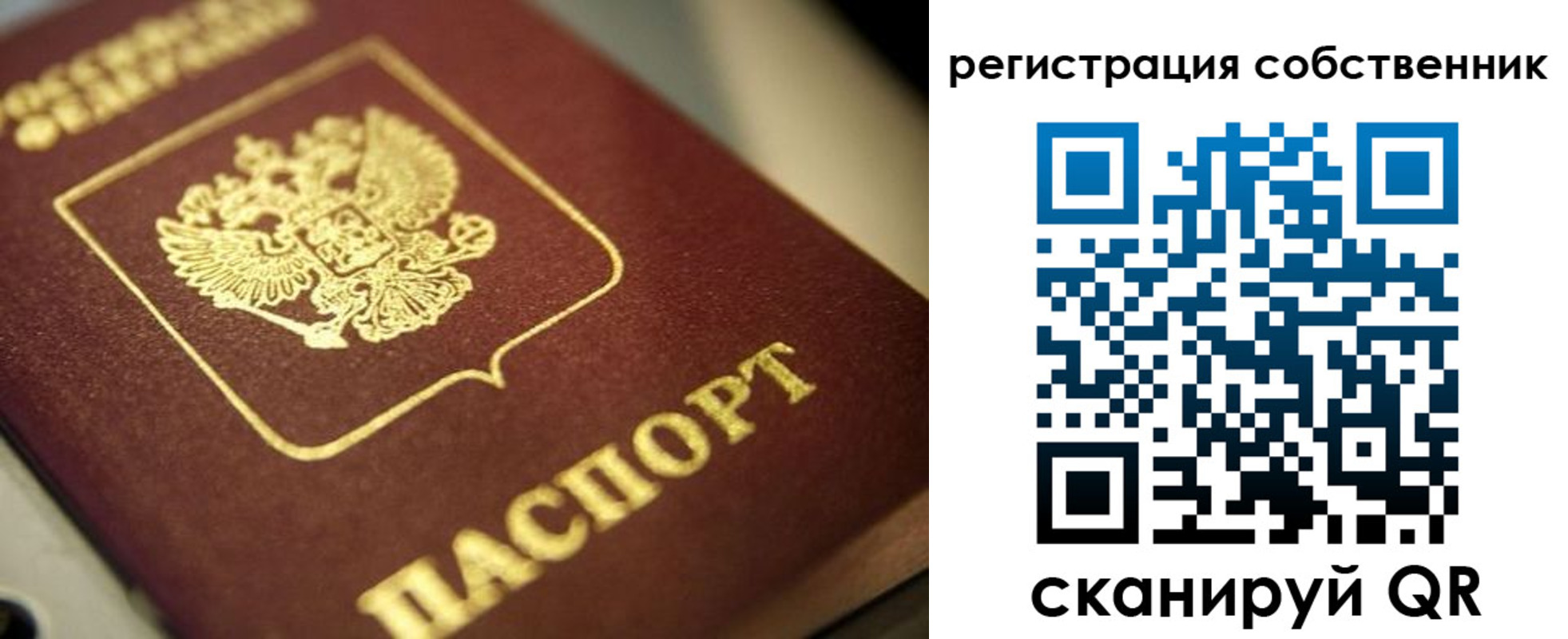 прописка в Светогорске